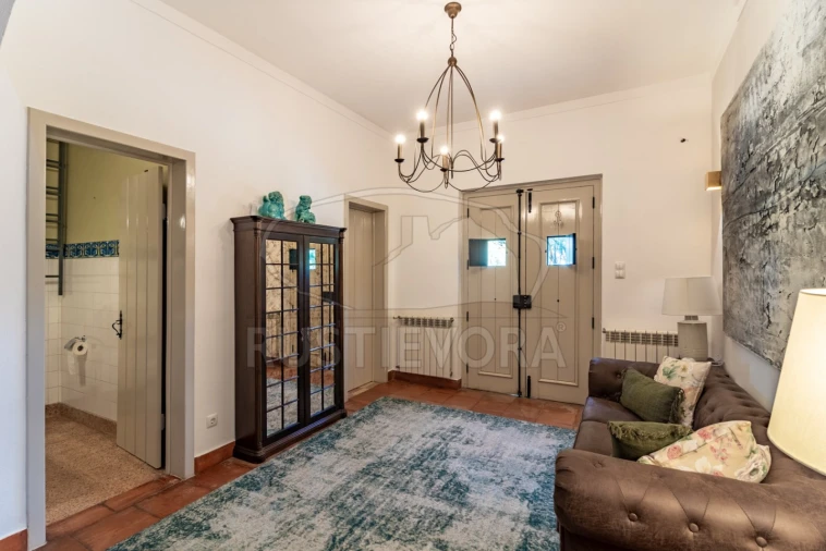 Quinta T14 para Venda em São Martinho Foto 46