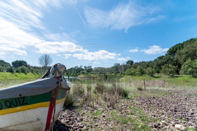 Quinta T14 para Venda em São Martinho Foto 71