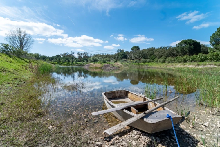 Quinta T14 para Venda em São Martinho Foto 66