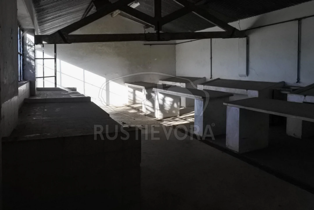 Terreno para Venda em Viana do Alentejo Foto 21