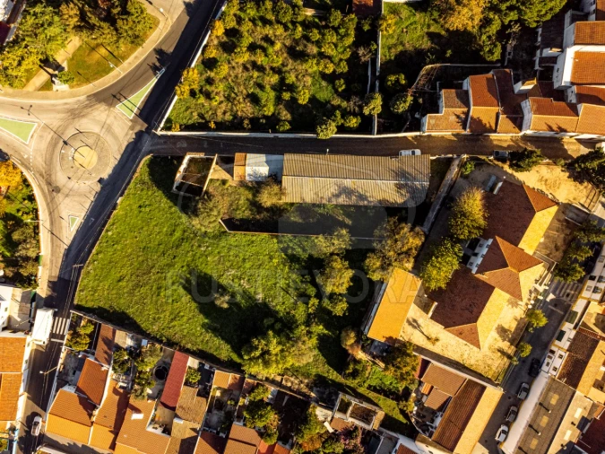 Terreno para Venda em Viana do Alentejo Foto 6