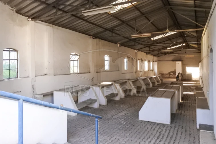 Terreno para Venda em Viana do Alentejo Foto 14