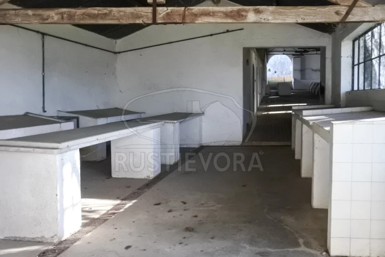 Terreno para Venda em Viana do Alentejo Foto 22