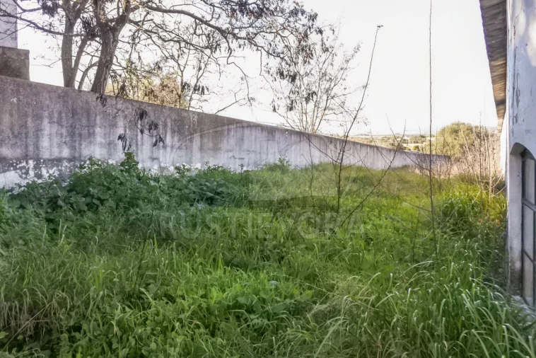 Terreno para Venda em Viana do Alentejo Foto 33