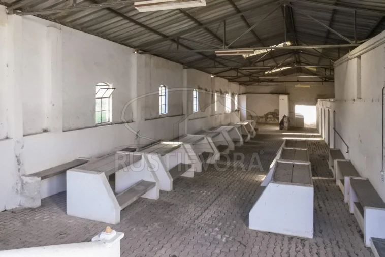 Terreno para Venda em Viana do Alentejo Foto 35