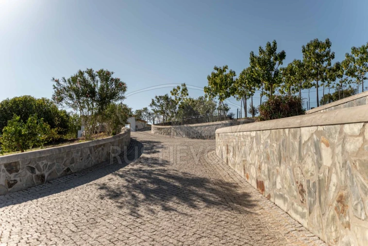 Quinta T5 para Venda em Redondo Foto 58