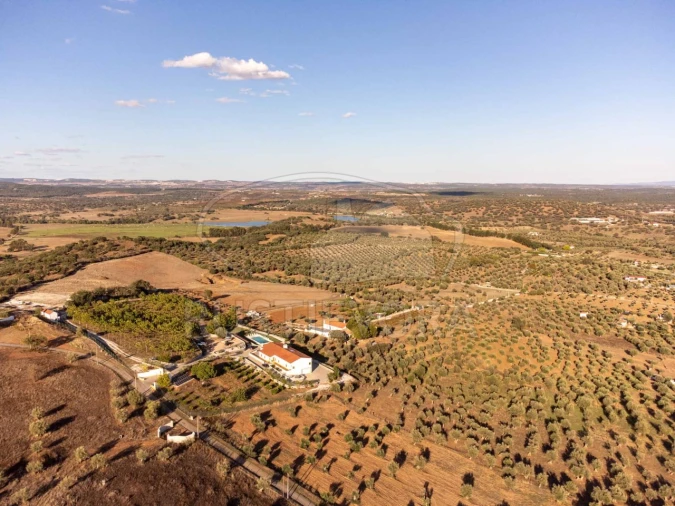 Quinta T5 para Venda em Redondo Foto 72