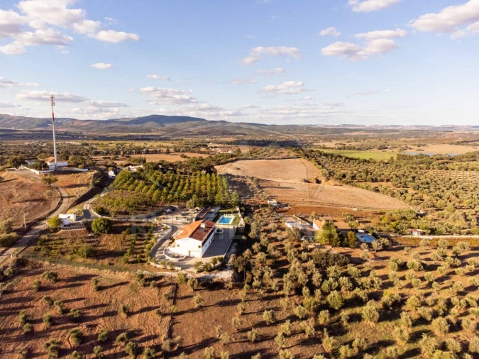 Quinta T5 para Venda em Redondo Foto 80