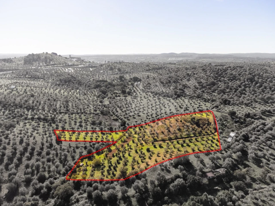 Terreno Agricola ou Rústico para Venda em Portel Foto 3