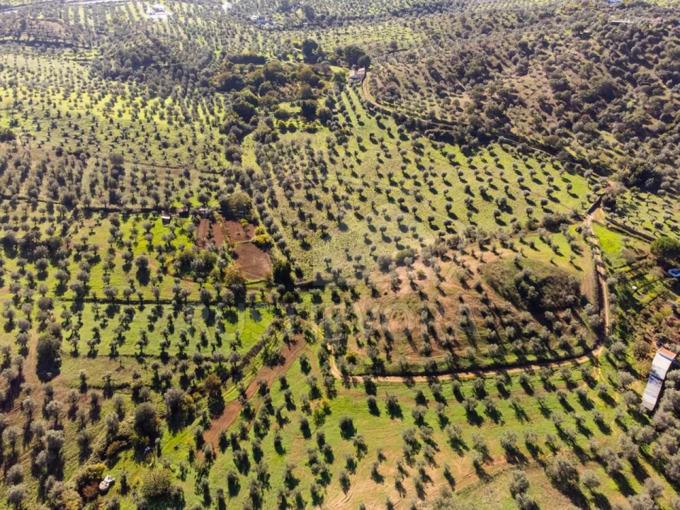 Terreno Agricola ou Rústico para Venda em Portel Foto 4