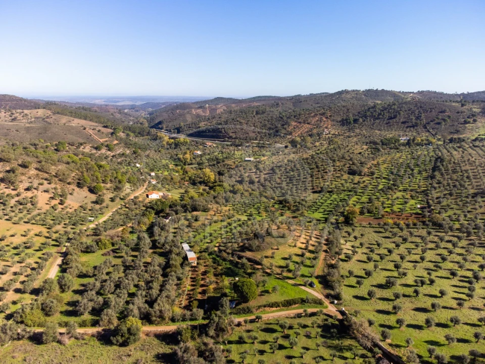 Terreno Agricola ou Rústico para Venda em Portel Foto 5