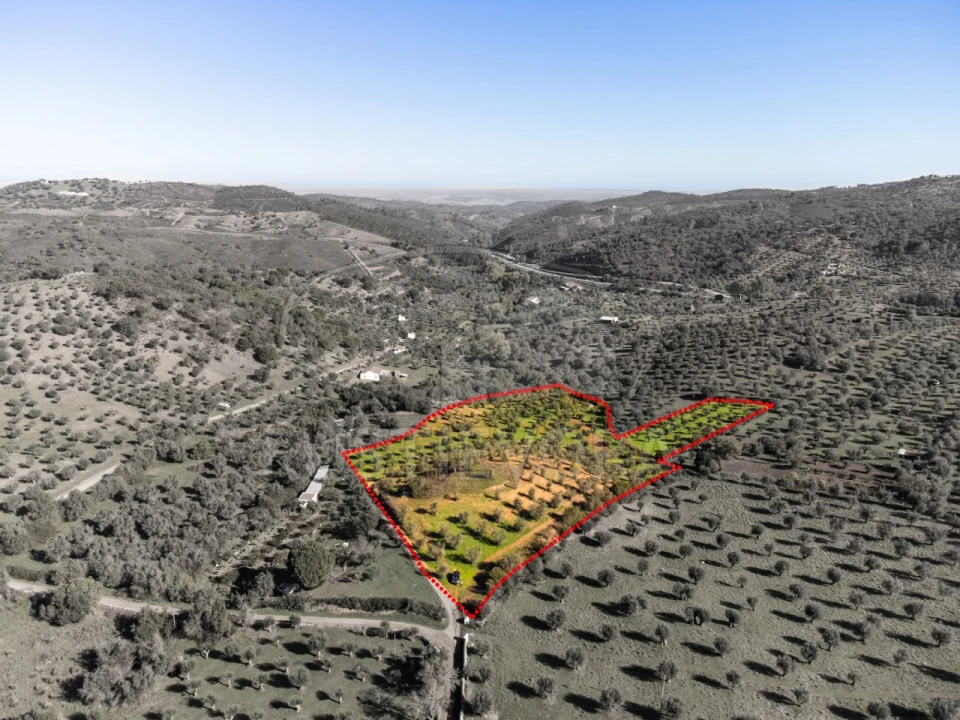 Terreno Agricola ou Rústico para Venda em Portel Foto 6