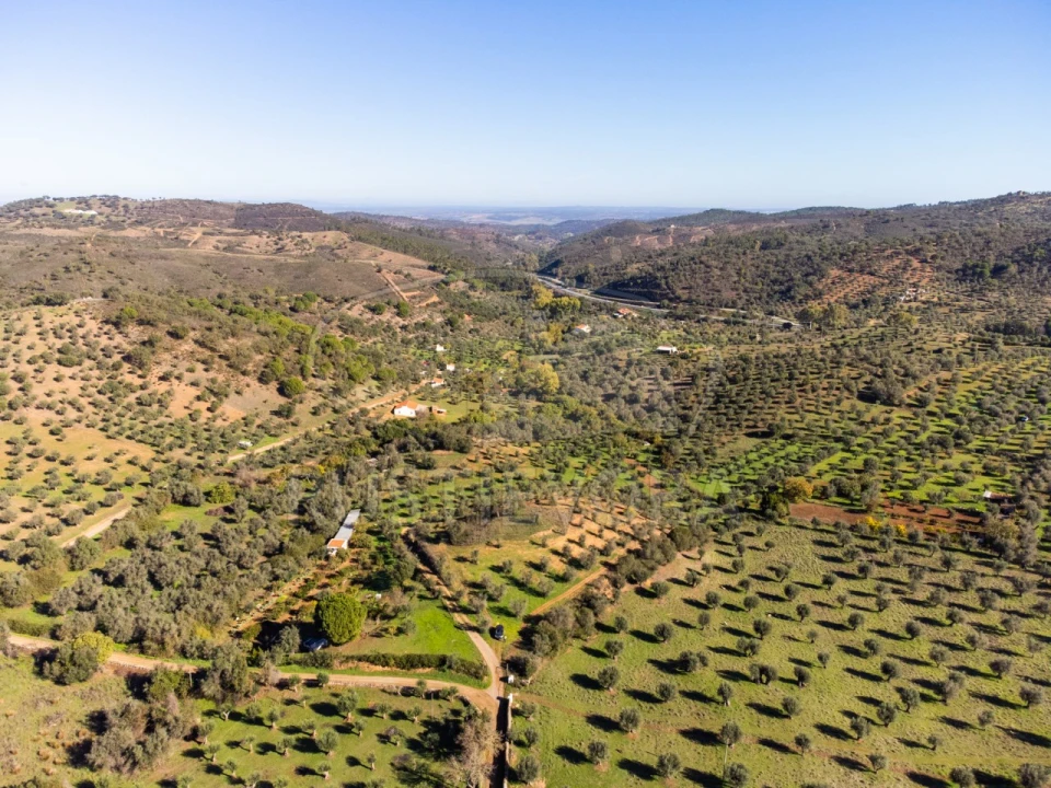 Terreno Agricola ou Rústico para Venda em Portel Foto 7