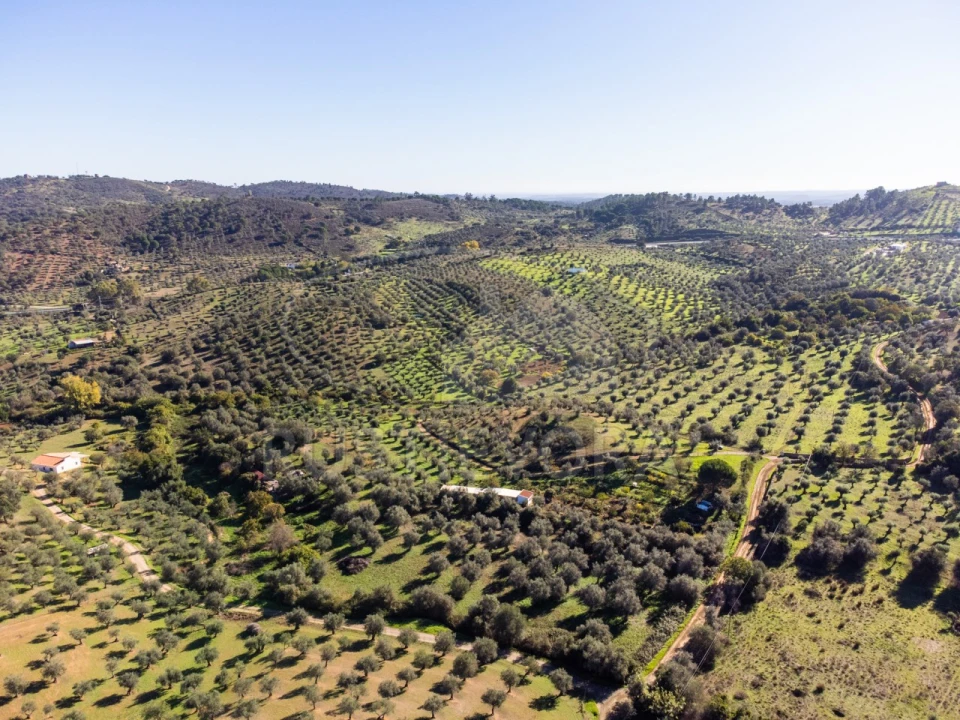 Terreno Agricola ou Rústico para Venda em Portel Foto 8