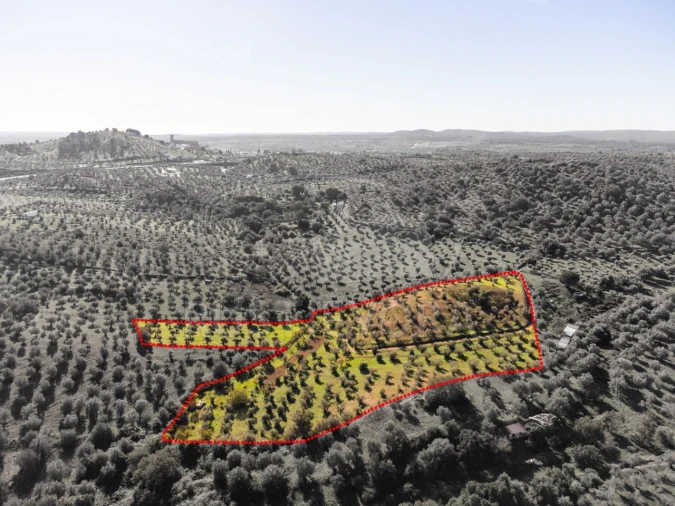 Terreno Agricola ou Rústico para Venda em Portel Foto 3
