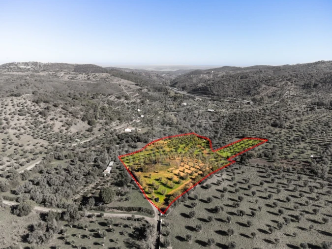 Terreno Agricola ou Rústico para Venda em Portel Foto 6