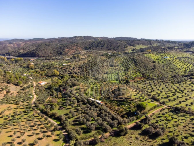 Terreno Agricola ou Rústico para Venda em Portel Foto 9