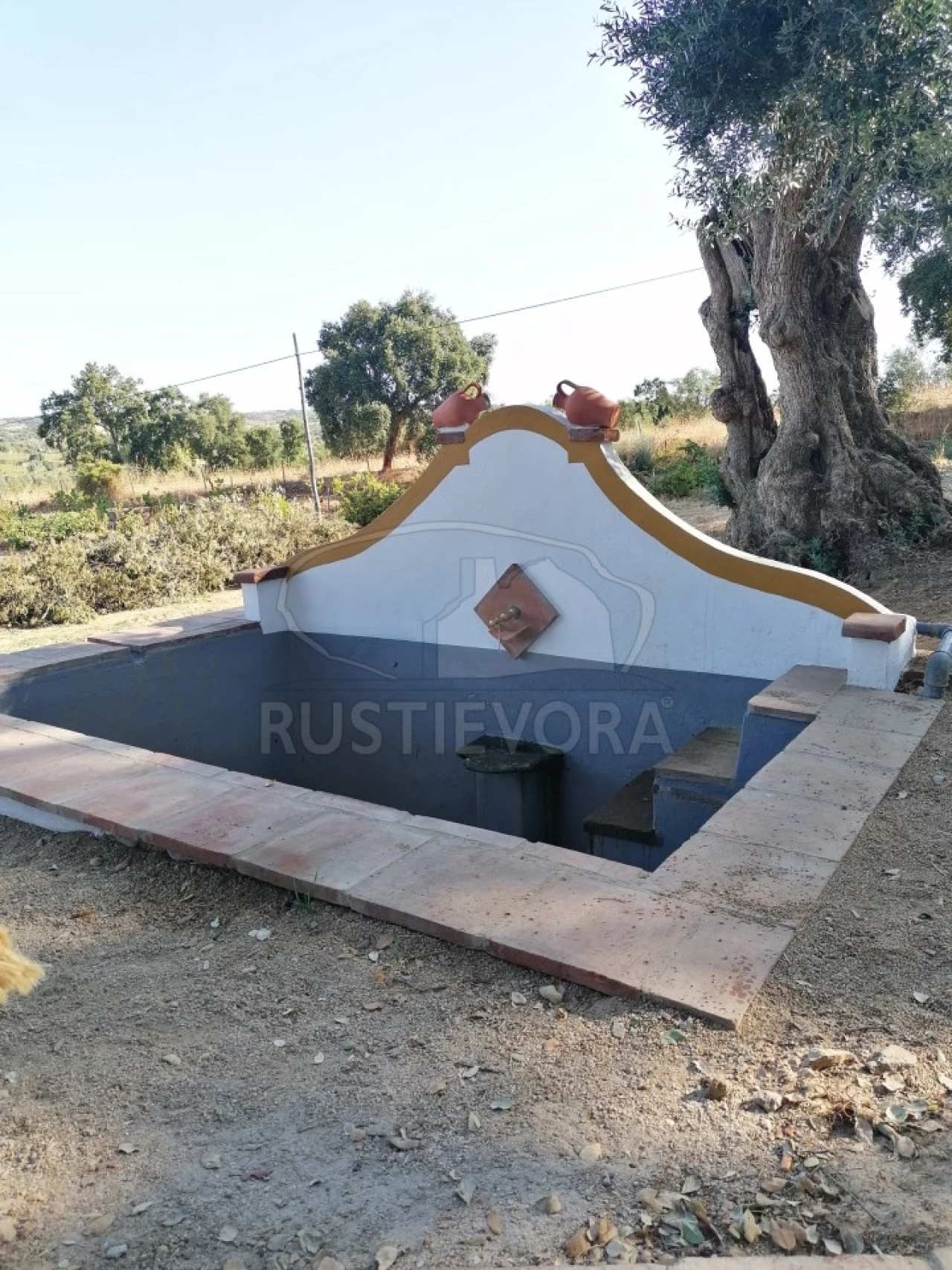 Terreno para Venda em Vila de Frades Foto 12