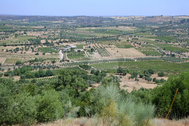 Terreno para Venda em Vila de Frades Foto 2