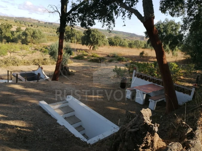 Terreno para Venda em Vila de Frades Foto 9