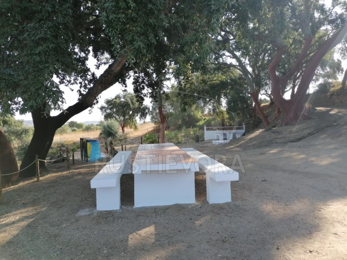 Terreno para Venda em Vila de Frades Foto 10