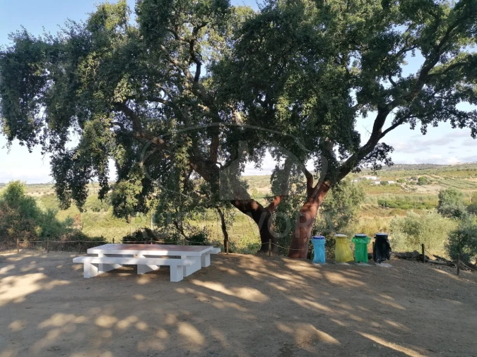 Terreno para Venda em Vila de Frades Foto 11