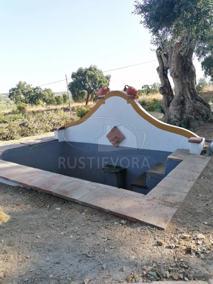 Terreno para Venda em Vila de Frades Foto 12