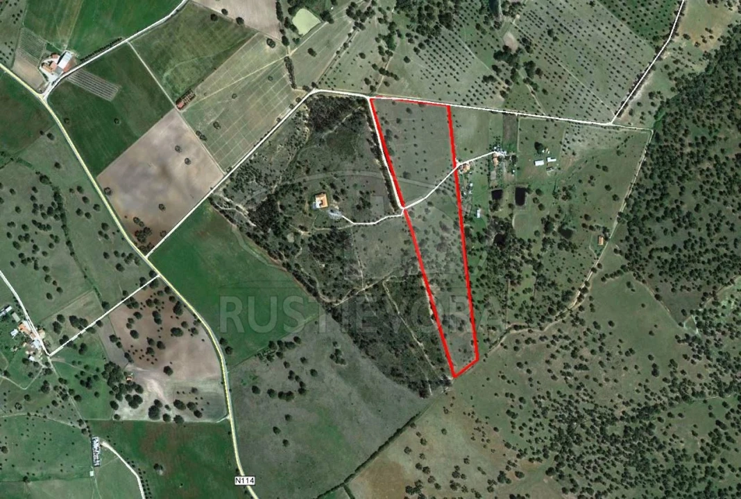 Terreno para Venda em Foros de Vale de Figueira Foto 1