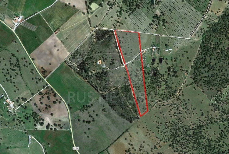 Terreno para Venda em Foros de Vale de Figueira