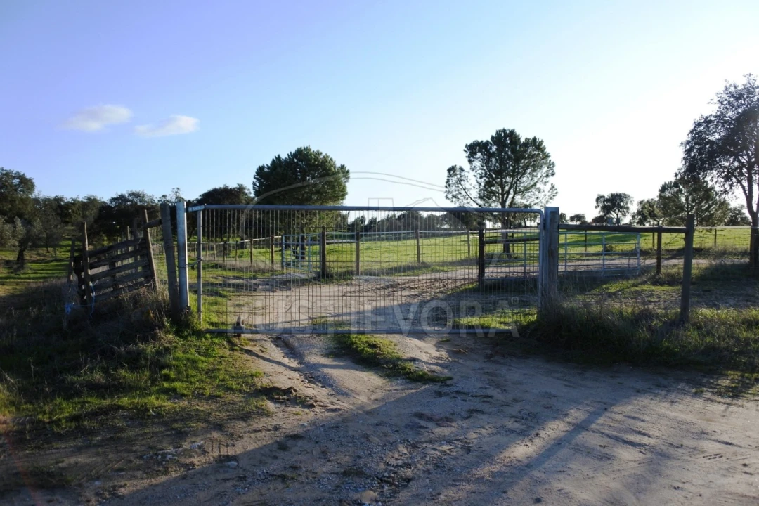 Quinta para Venda em Foros de Vale de Figueira Foto 12