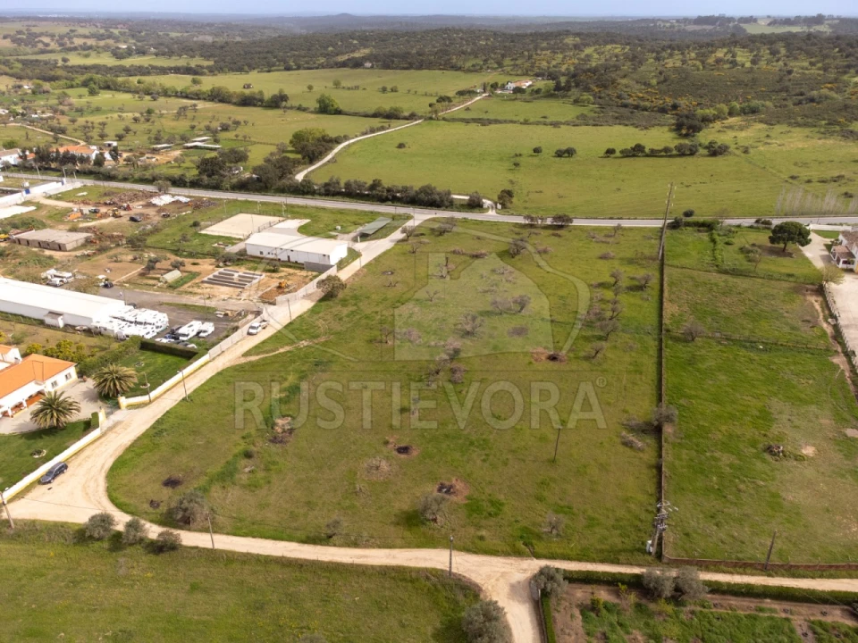 Quinta para Venda em Bacelo e Senhora da Saúde Foto 3
