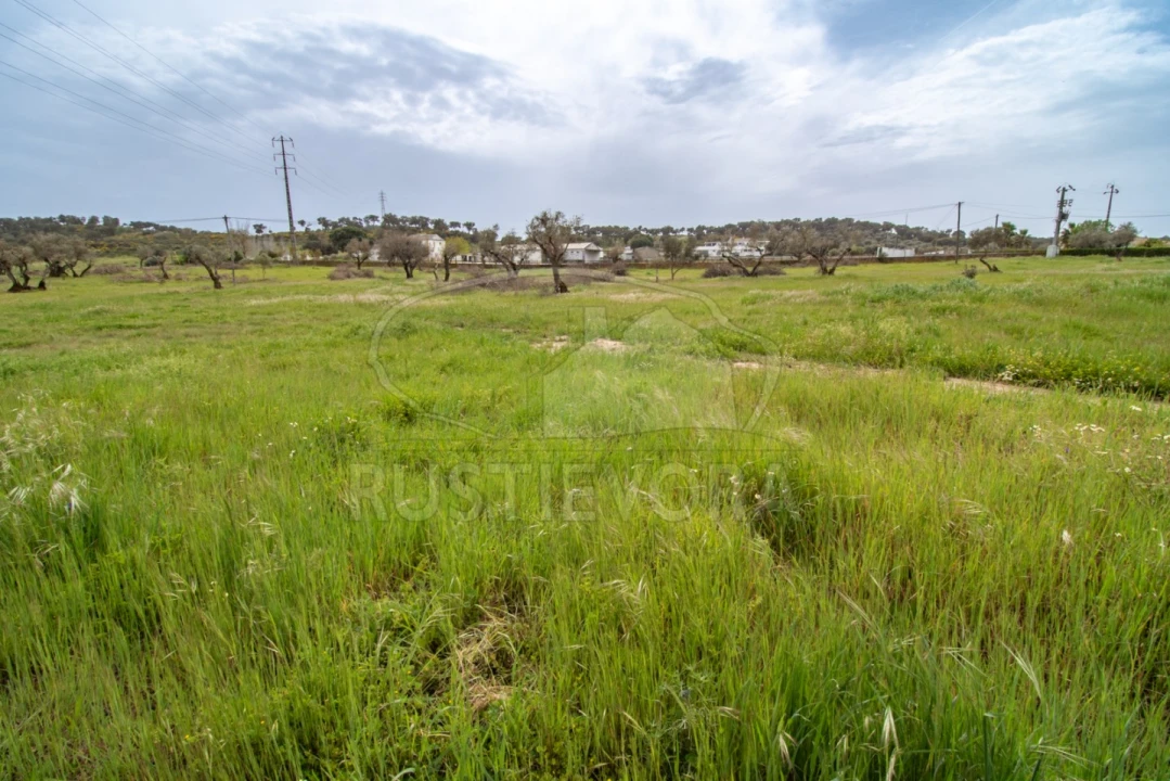 Quinta para Venda em Bacelo e Senhora da Saúde Foto 6