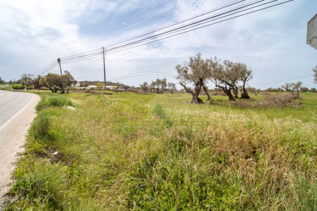 Quinta para Venda em Bacelo e Senhora da Saúde Foto 7