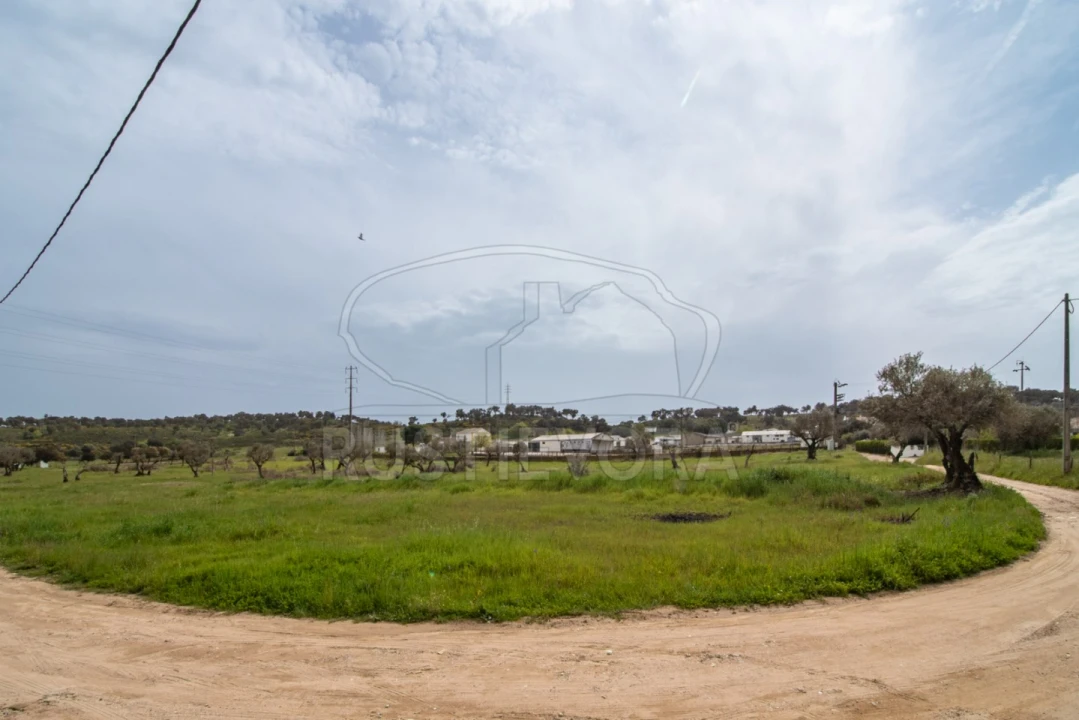 Quinta para Venda em Bacelo e Senhora da Saúde Foto 15
