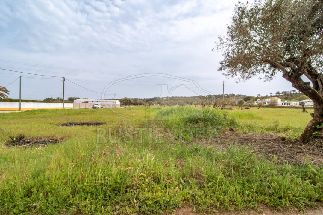 Quinta para Venda em Bacelo e Senhora da Saúde Foto 17