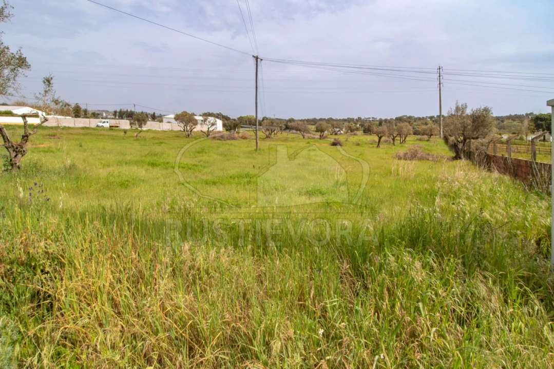 Quinta para Venda em Bacelo e Senhora da Saúde Foto 20