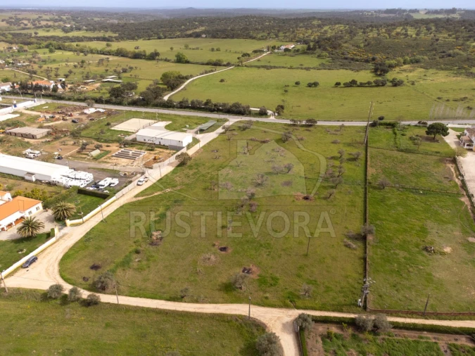 Quinta para Venda em Bacelo e Senhora da Saúde Foto 3