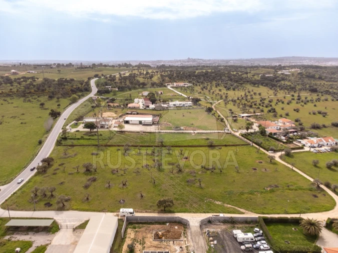 Quinta para Venda em Bacelo e Senhora da Saúde Foto 4
