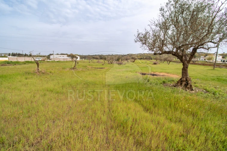 Quinta para Venda em Bacelo e Senhora da Saúde Foto 18