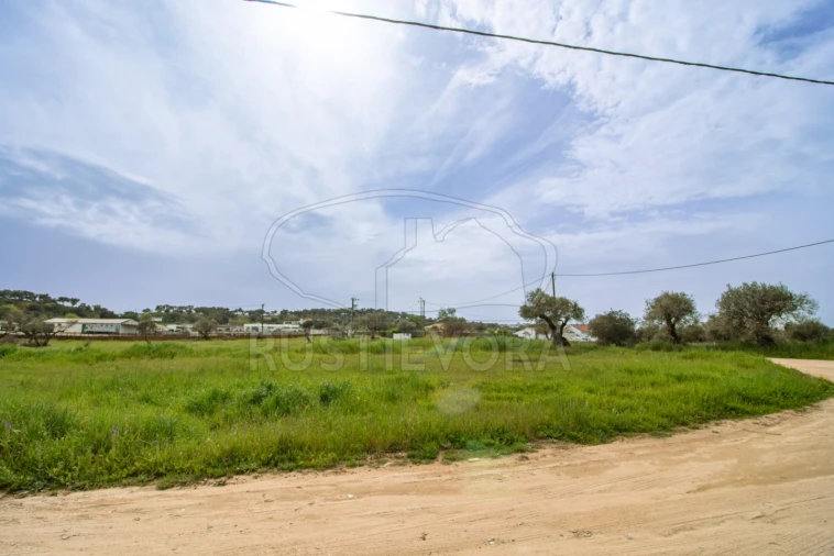 Quinta para Venda em Bacelo e Senhora da Saúde Foto 22