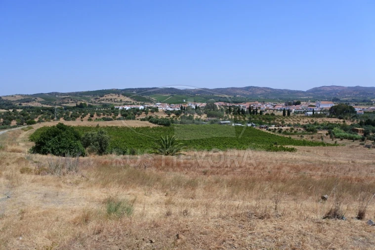 Quinta para Venda em Vila de Frades Foto 8