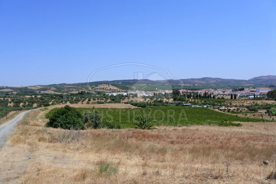 Terreno para Venda em Vila de Frades Foto 7