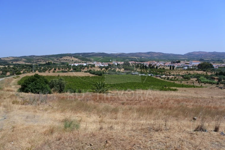Terreno para Venda em Vila de Frades Foto 3