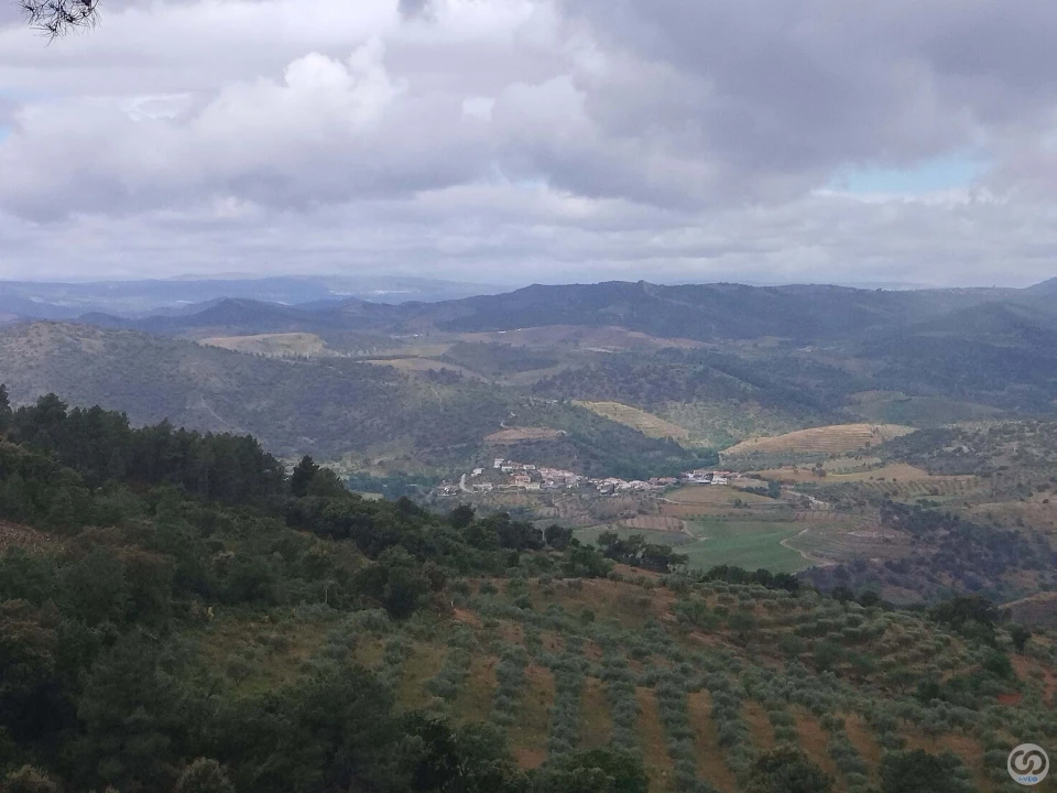 Moradia T3 para Venda em Barcel, Marmelos e Valverde da Gestosa Foto 22