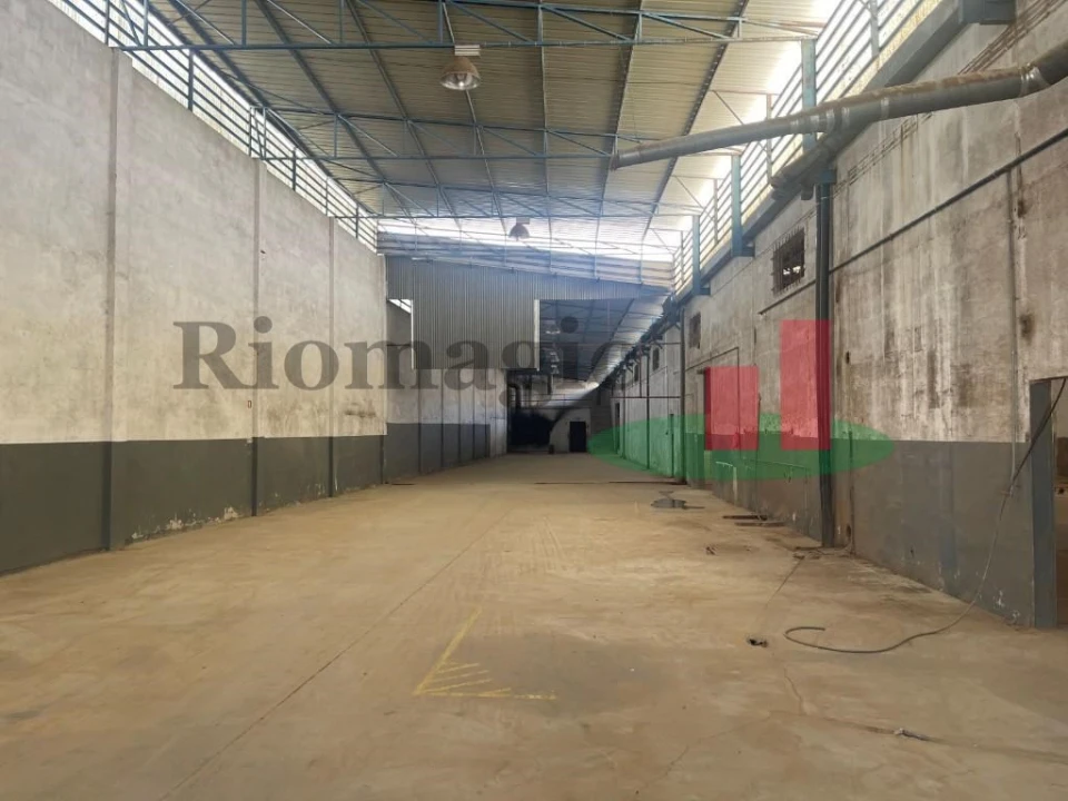 Armazém para Venda em Amiais de Baixo Foto 4