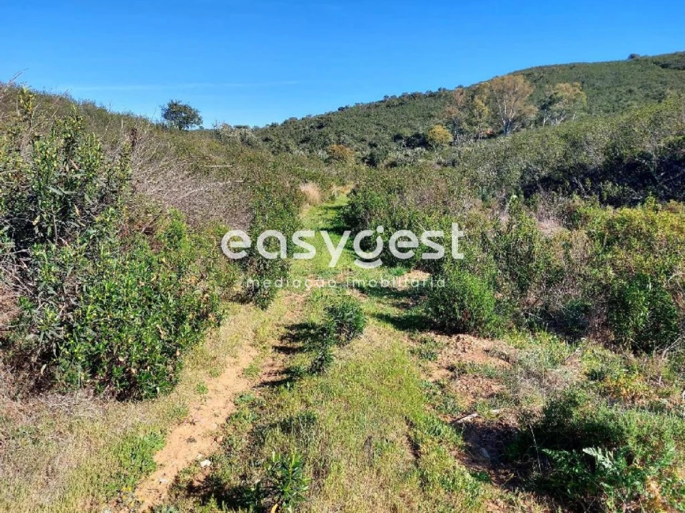 Moradia T1 para Venda em Corte do Pinto Foto 5