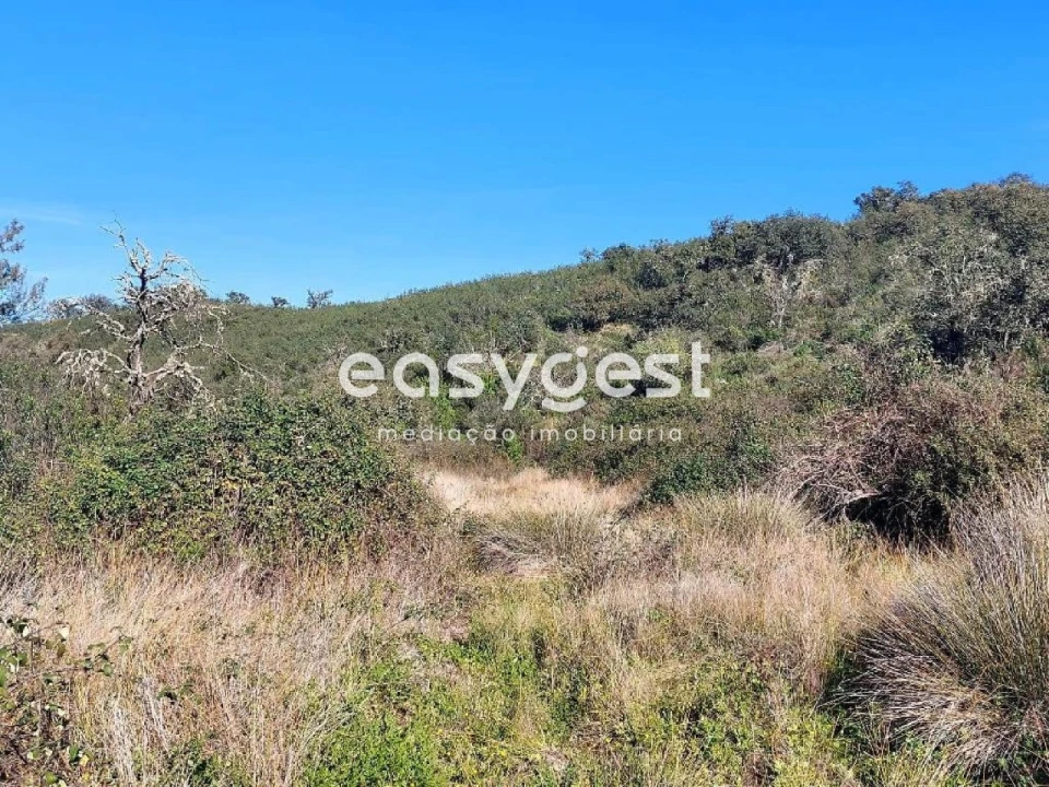 Moradia T1 para Venda em Corte do Pinto Foto 8