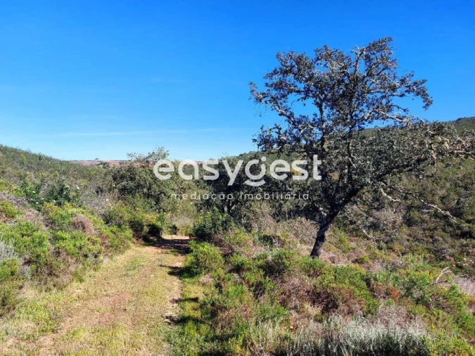 Moradia T1 para Venda em Corte do Pinto Foto 6