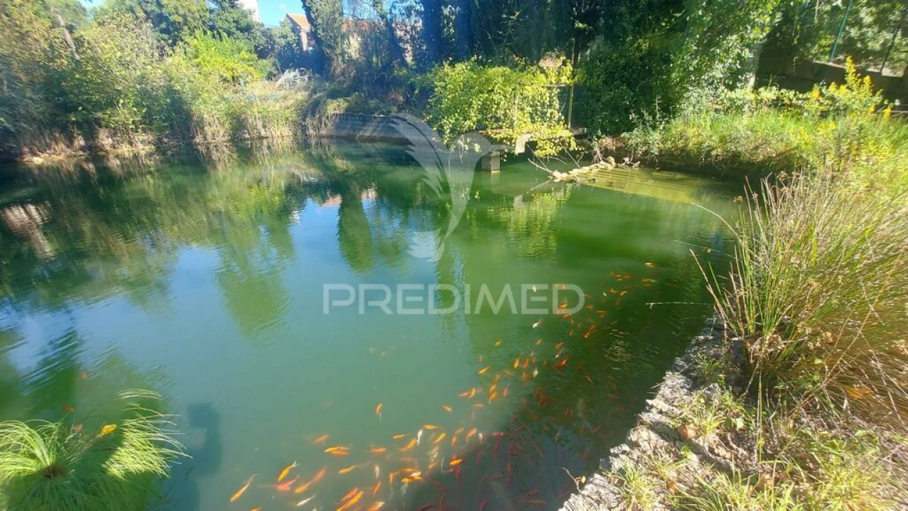 Quinta T4 para Venda em Marvila, Ribeira Santarém, São Salvador, São Nicolau Foto 2