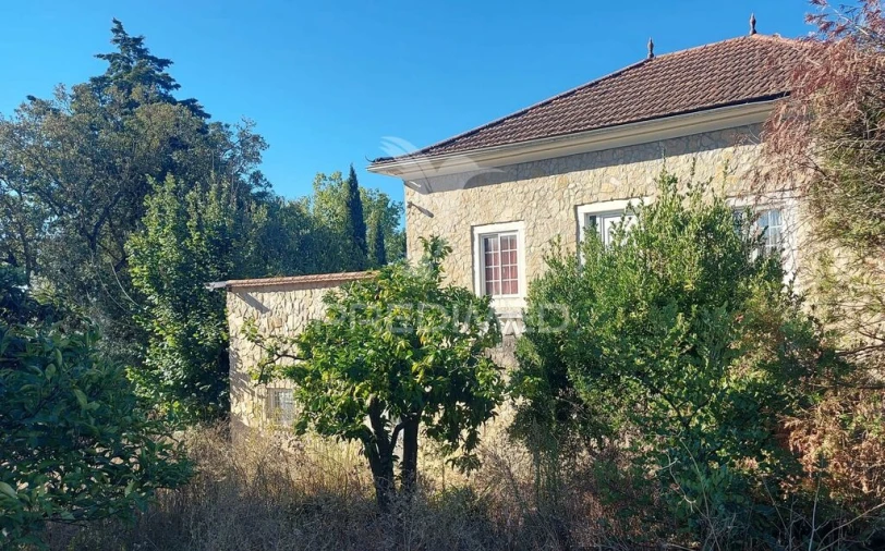 Quinta T4 para Venda em Marvila, Ribeira Santarém, São Salvador, São Nicolau